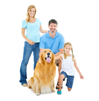 Allianz Hundekrankenversicherung für Golden Retriever